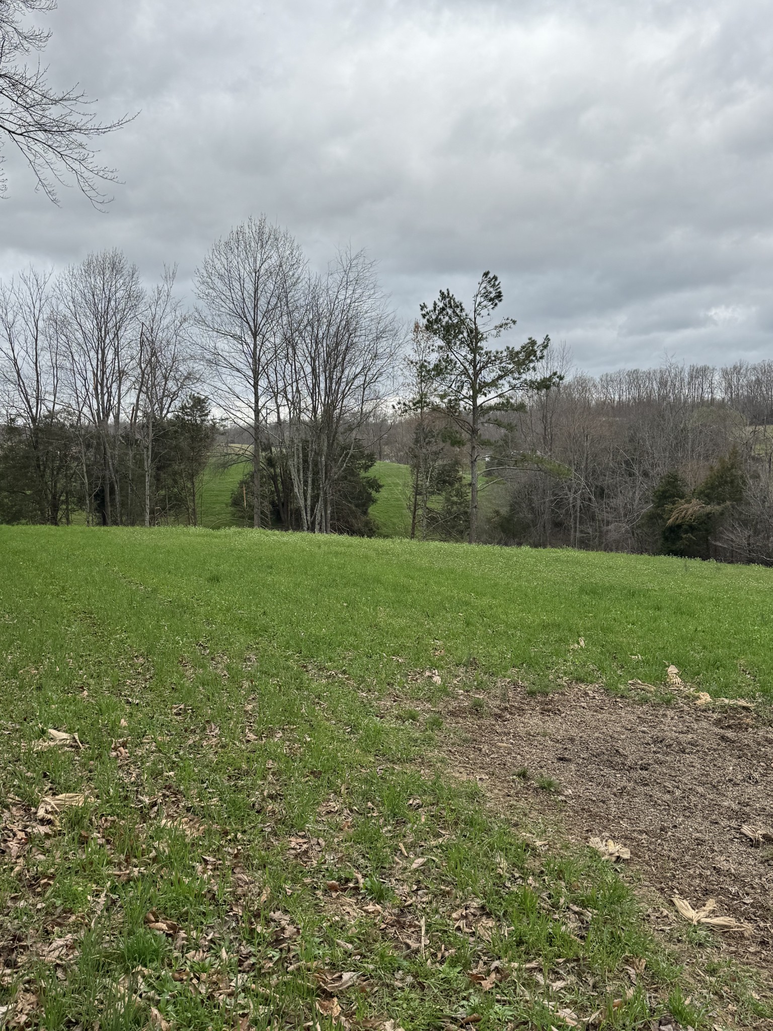 0 Bakerton Road Red Boiling Springs, TN 37150 - Photo 8 of 9