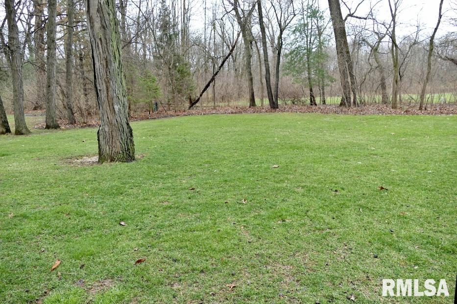 510 West Raintree Road Dunlap, IL 61525 - Photo 42 of 47 Gallery Image 42