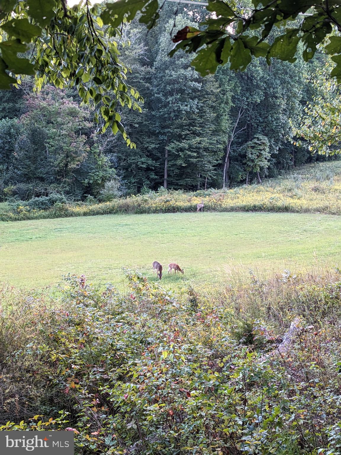 8640 Hensingersville Road Alburtis, PA 18011 - Photo 32 of 32