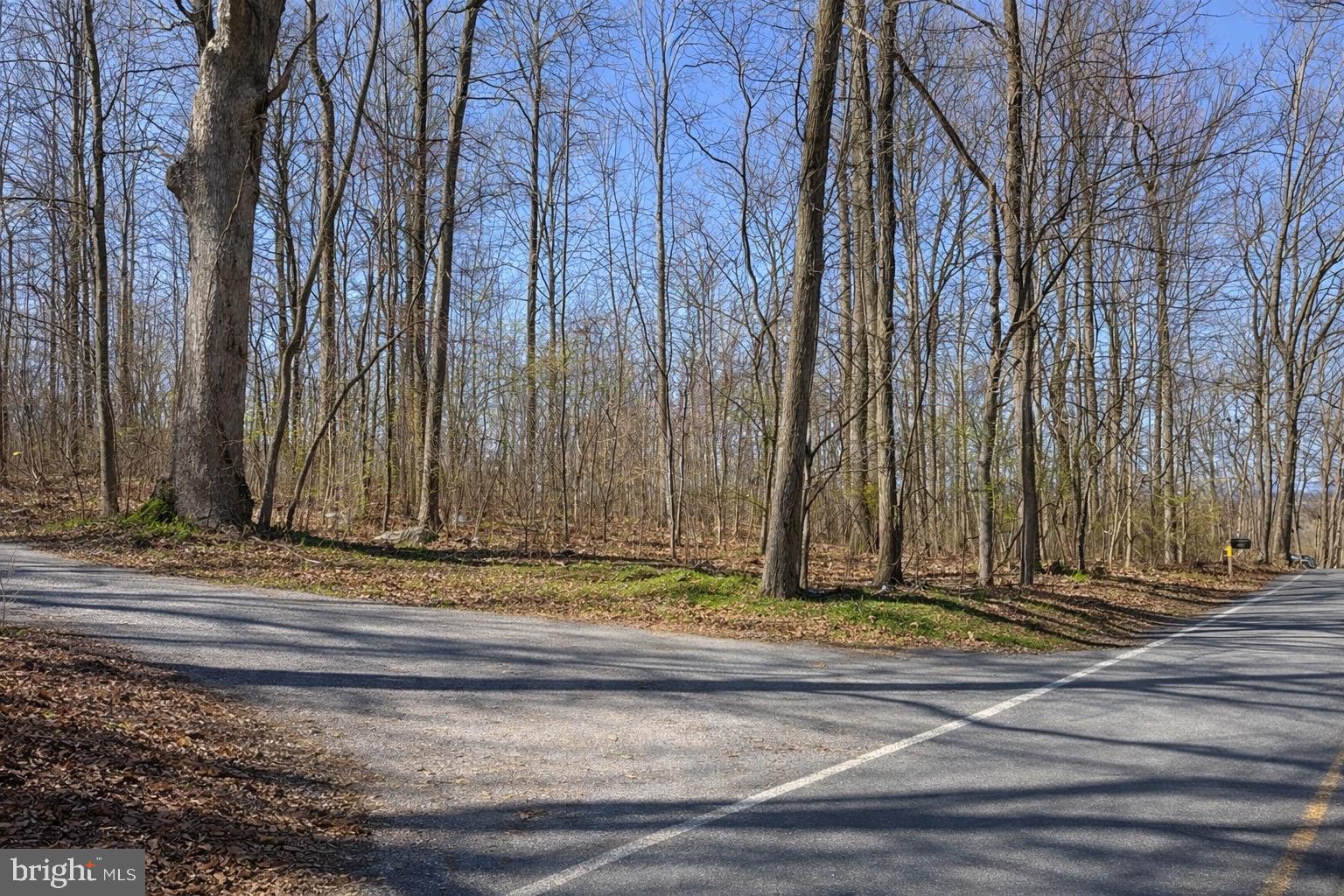 8640 Hensingersville Road Alburtis, PA 18011 - Photo 5 of 32