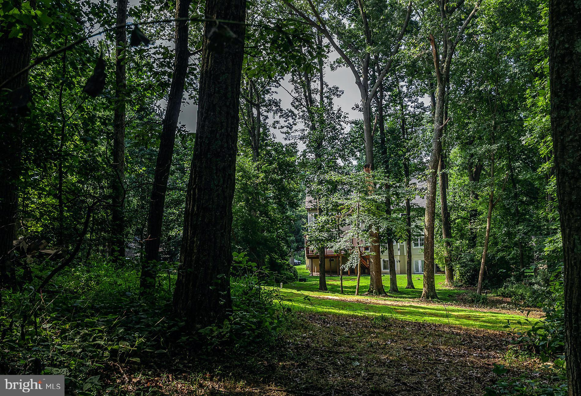 11932 Waples Mill Road Oakton, VA 22124 - Photo 54 of 64