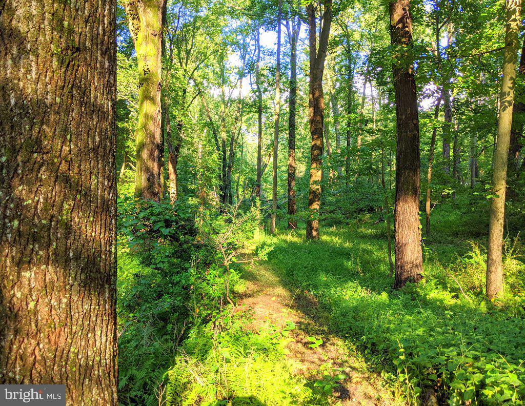 11932 Waples Mill Road Oakton, VA 22124 - Photo 55 of 64