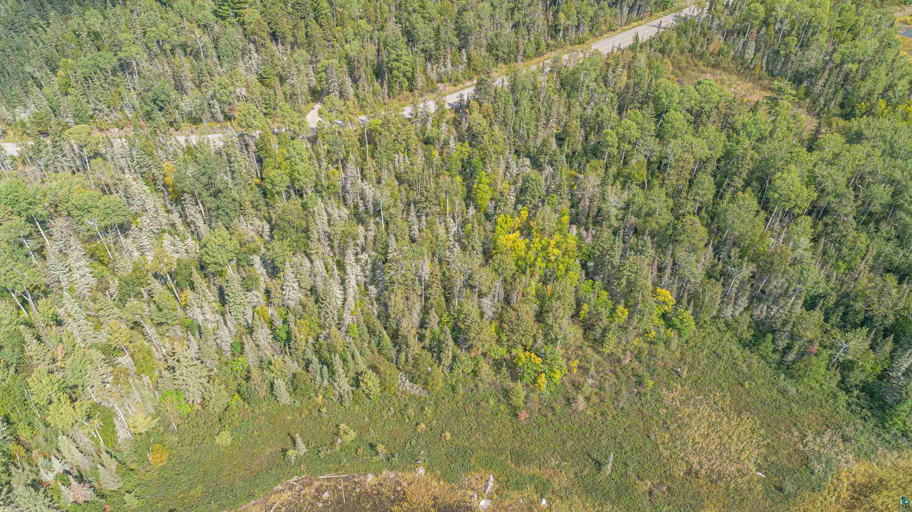 1 Ely Mn 55731 Ely, MN 55731 - Photo 16 of 23