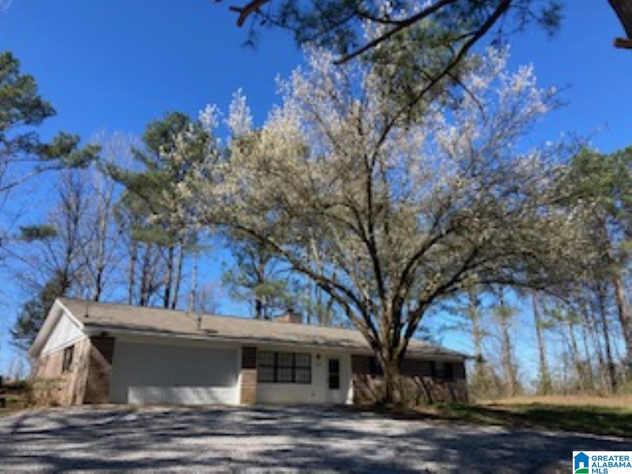 1116 Bailey Springs Road Ohatchee, AL 36271 - Photo 1 of 24