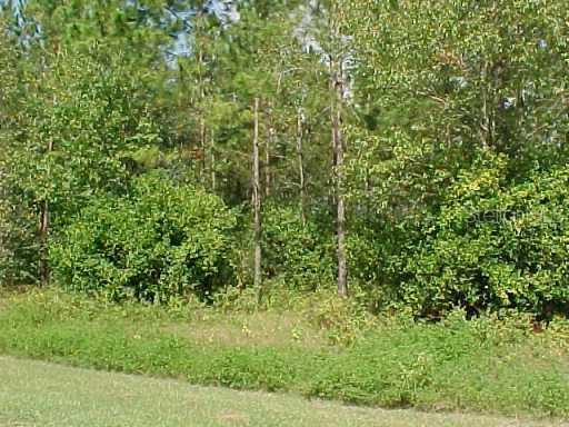 0 Scharber Road San Antonio, FL 33576 - Photo 1 of 1 View
