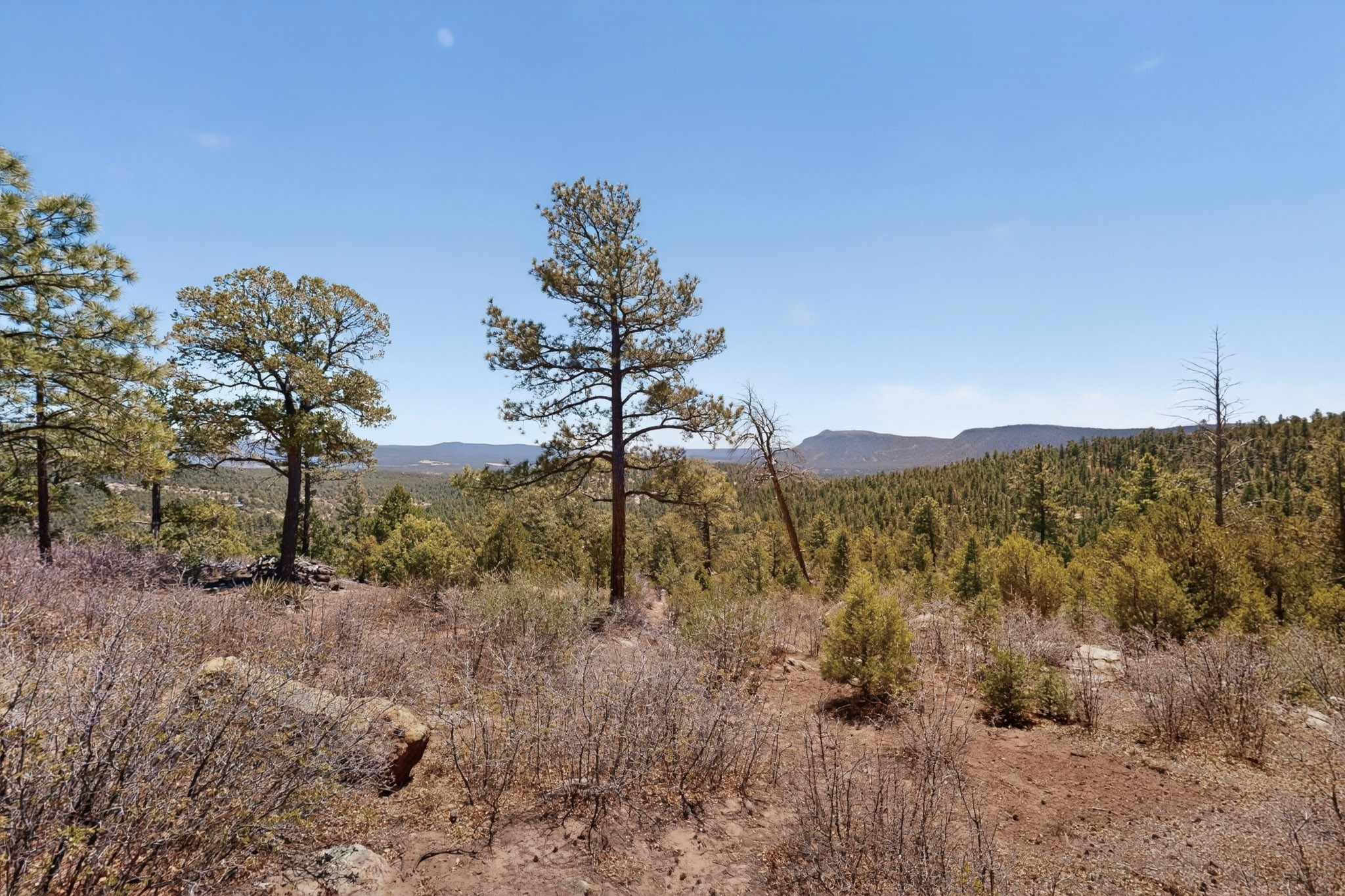 30 Monte La Cueva Road Glorieta, NM 87535 - Photo 14 of 91