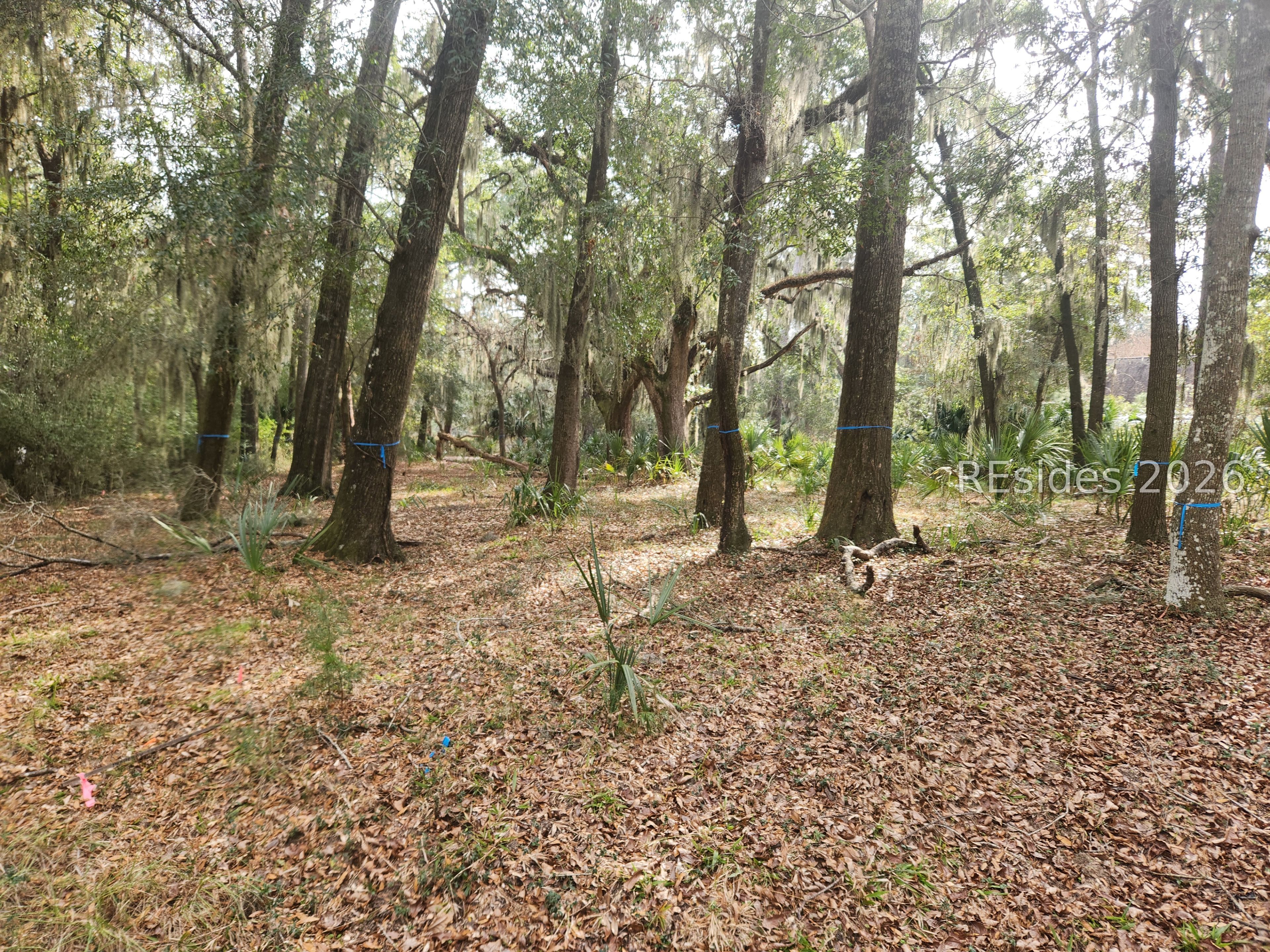 2 Cordgrass Loop Beaufort, SC 29907 - Photo 2 of 5