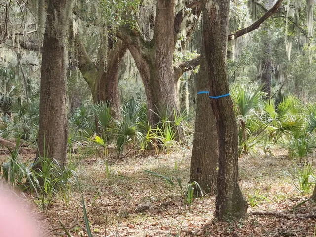 $93,500 | 2 Cordgrass Loop, Beaufort, SC 29907