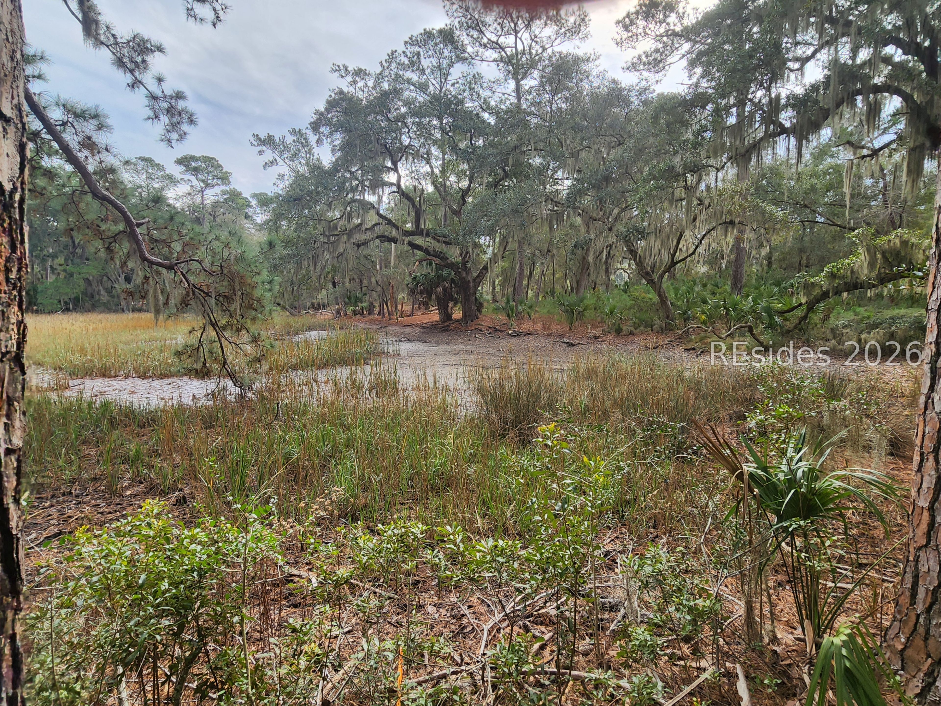 2 Cordgrass Loop Beaufort, SC 29907 - Photo 5 of 5