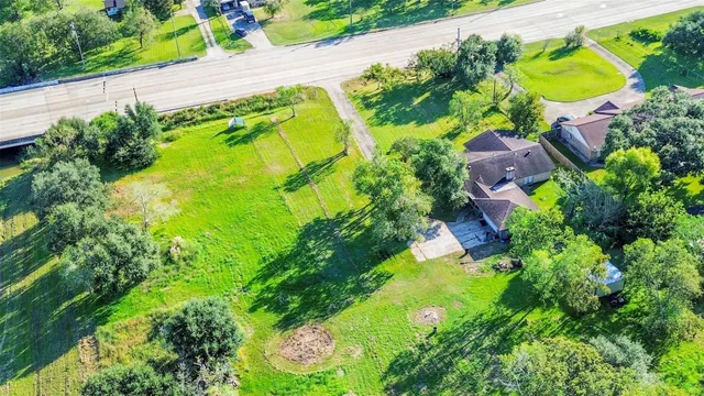 a view of a bunch of flowers in a garden