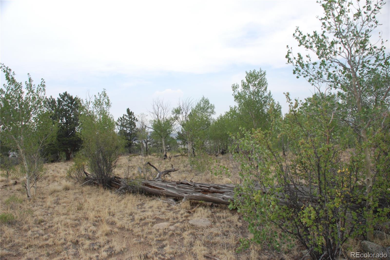 1946 Mohegan Road Hartsel, CO 80449 - Photo 11 of 35 Gallery Image 11