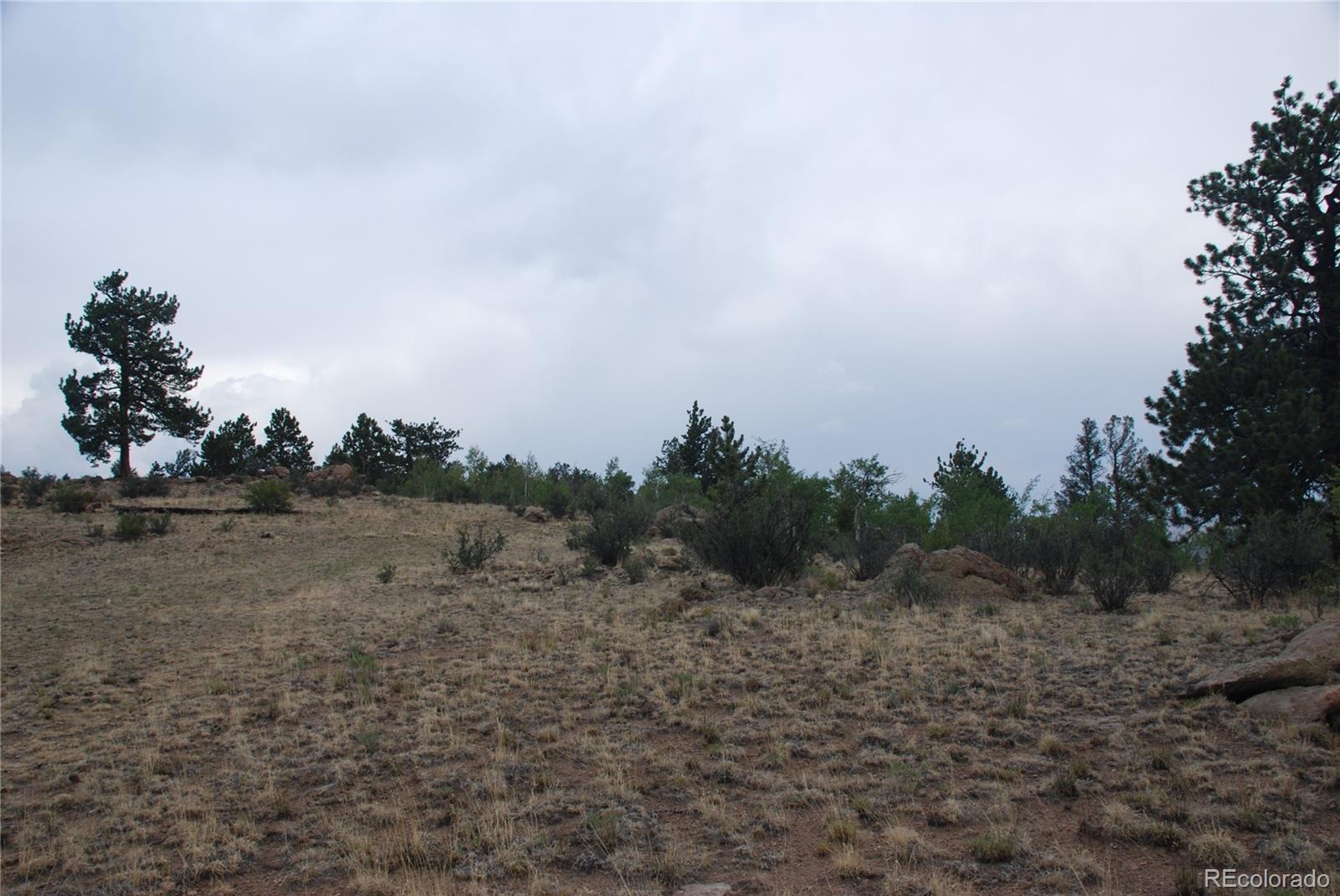 1946 Mohegan Road Hartsel, CO 80449 - Photo 12 of 35 Gallery Image 12