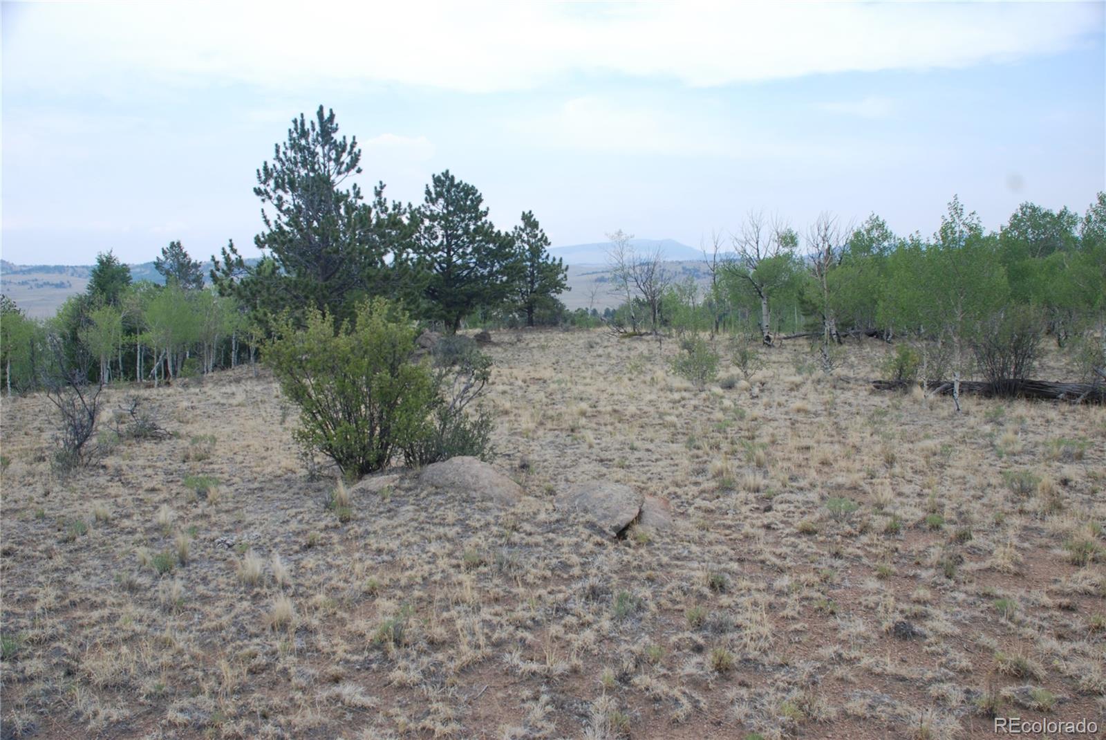 1946 Mohegan Road Hartsel, CO 80449 - Photo 13 of 35 Gallery Image 13