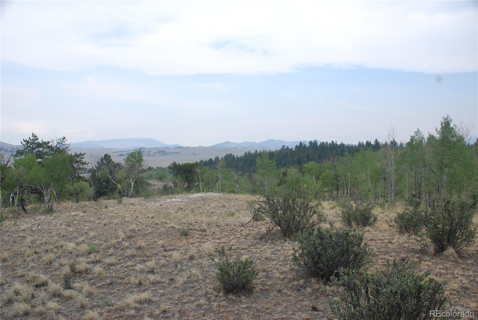 1946 Mohegan Road Hartsel, CO 80449 - Photo 14 of 35 Gallery Image 14
