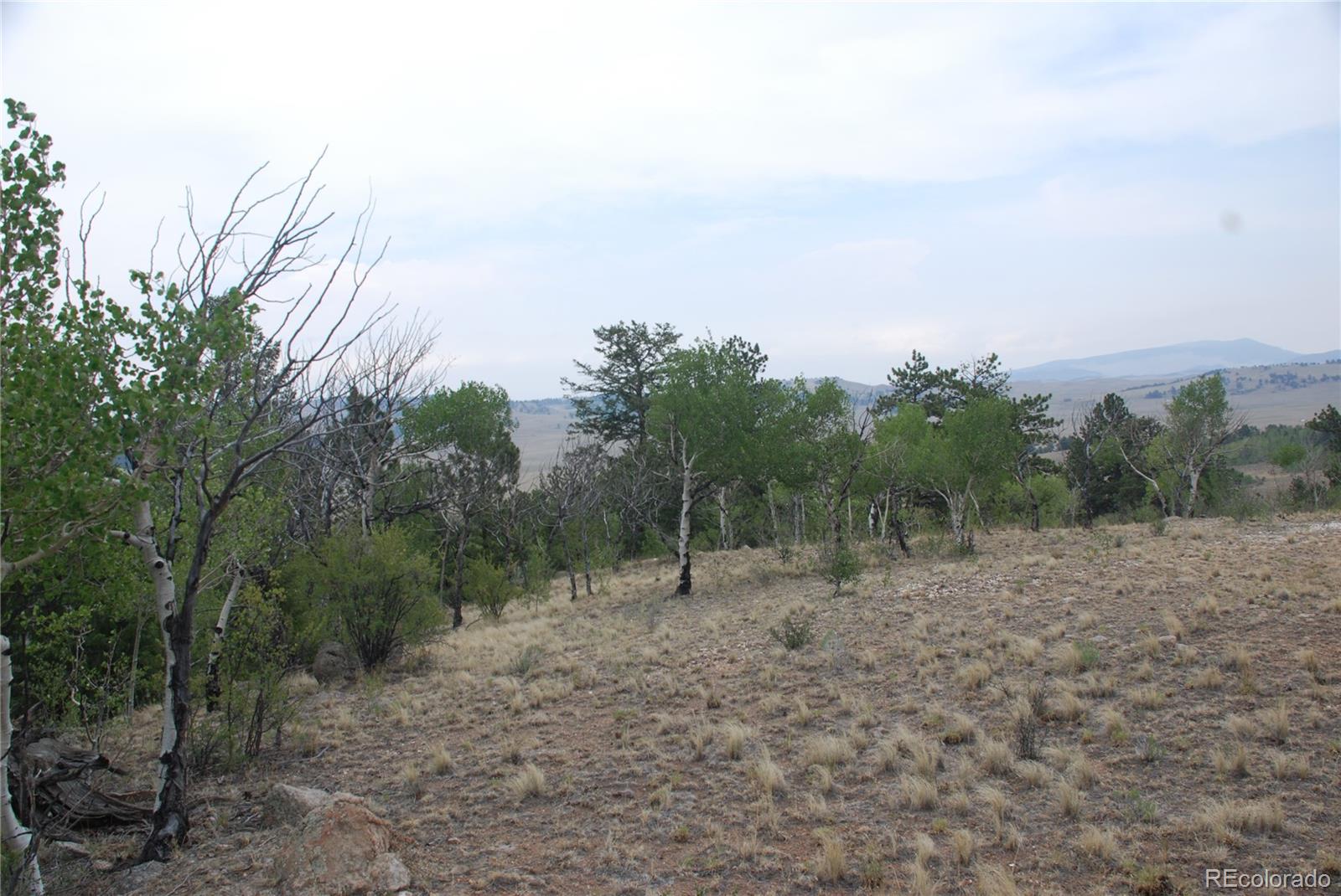 1946 Mohegan Road Hartsel, CO 80449 - Photo 15 of 35 Gallery Image 15