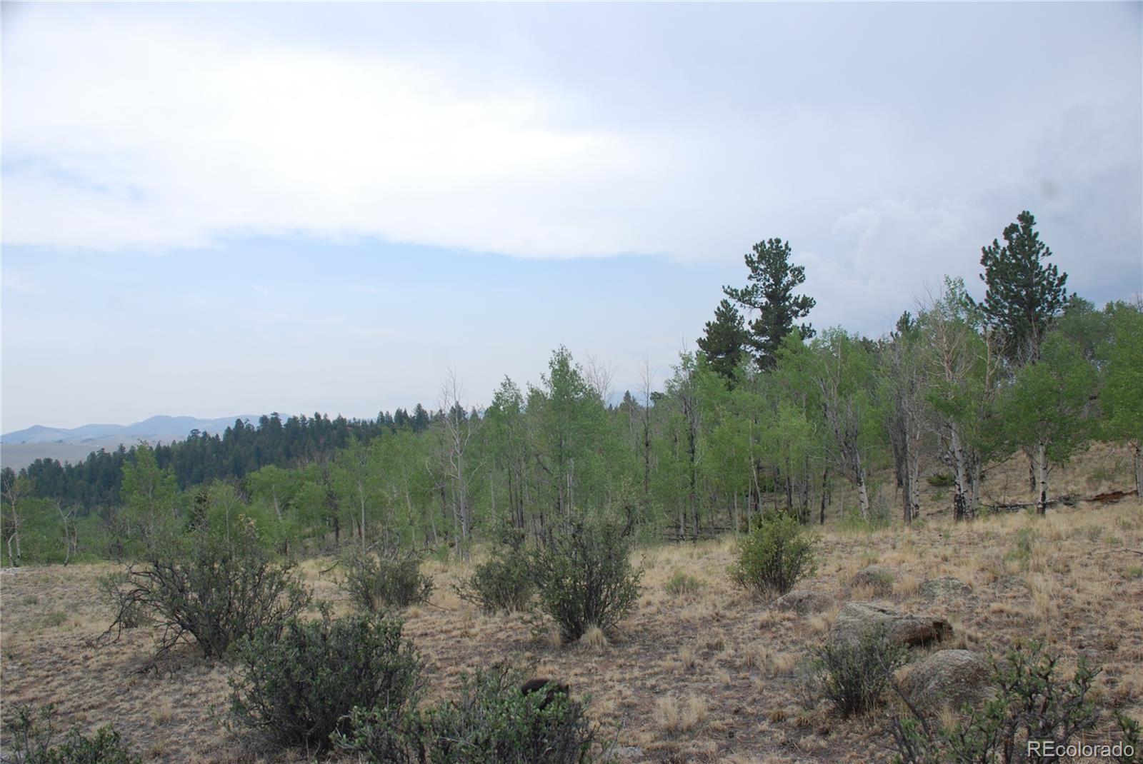 1946 Mohegan Road Hartsel, CO 80449 - Photo 16 of 35 Gallery Image 16