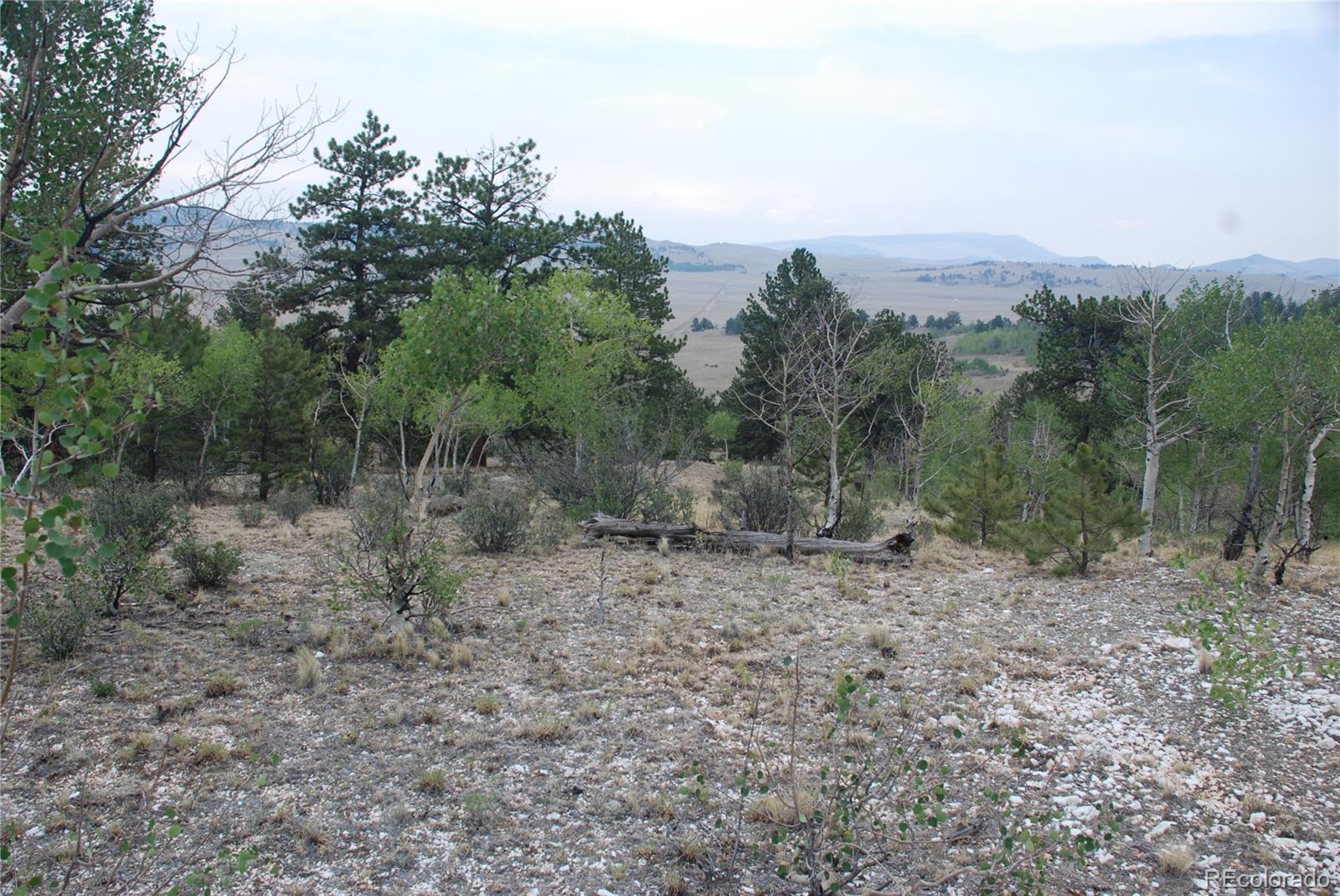 1946 Mohegan Road Hartsel, CO 80449 - Photo 18 of 35 Gallery Image 18