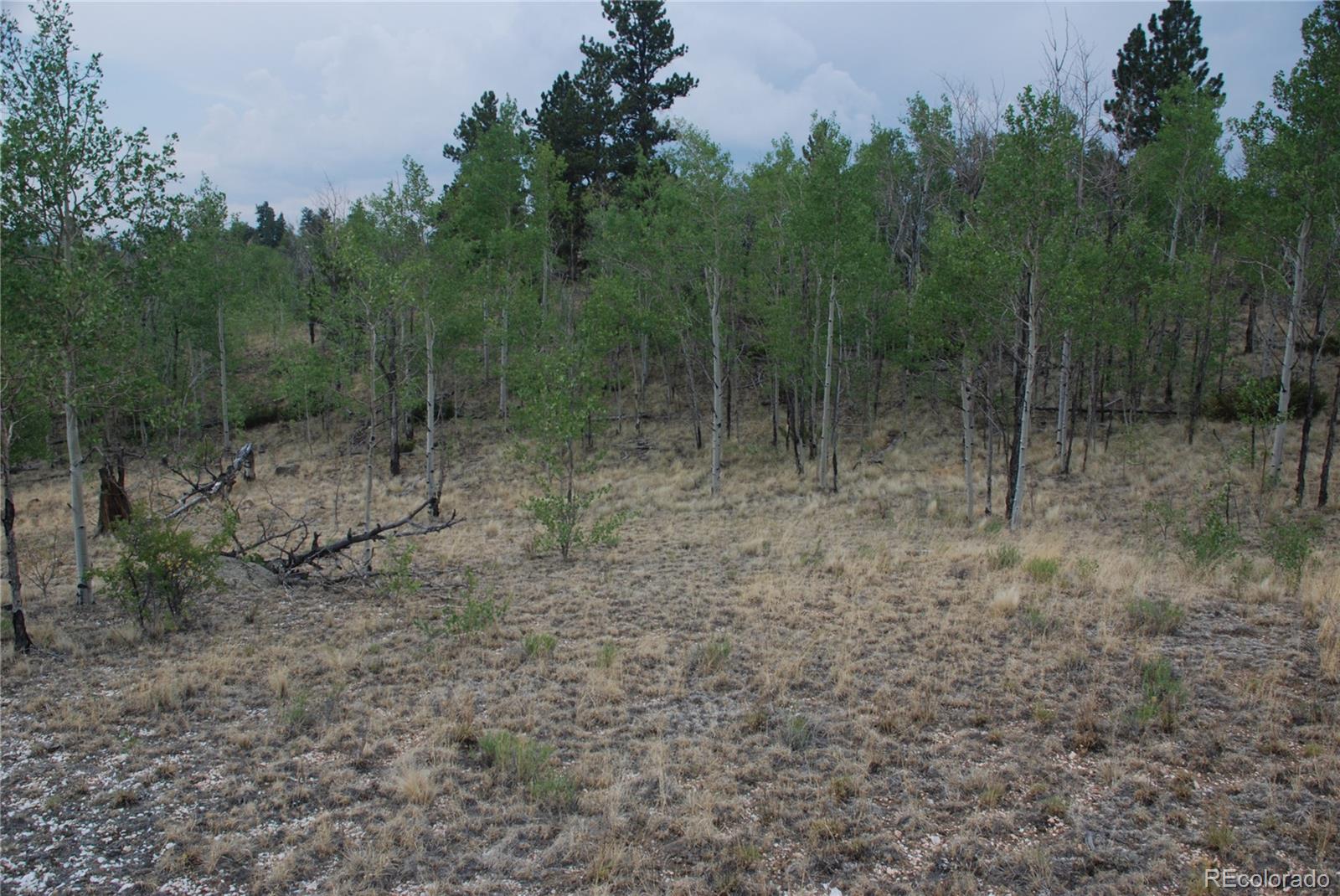 1946 Mohegan Road Hartsel, CO 80449 - Photo 21 of 35 Gallery Image 21