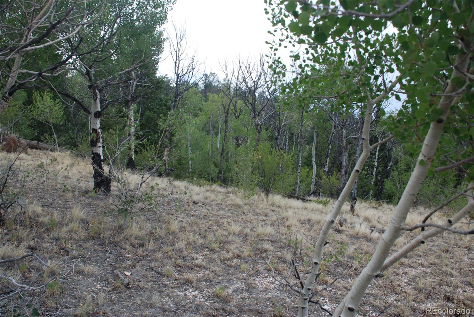 1946 Mohegan Road Hartsel, CO 80449 - Photo 22 of 35 Gallery Image 22