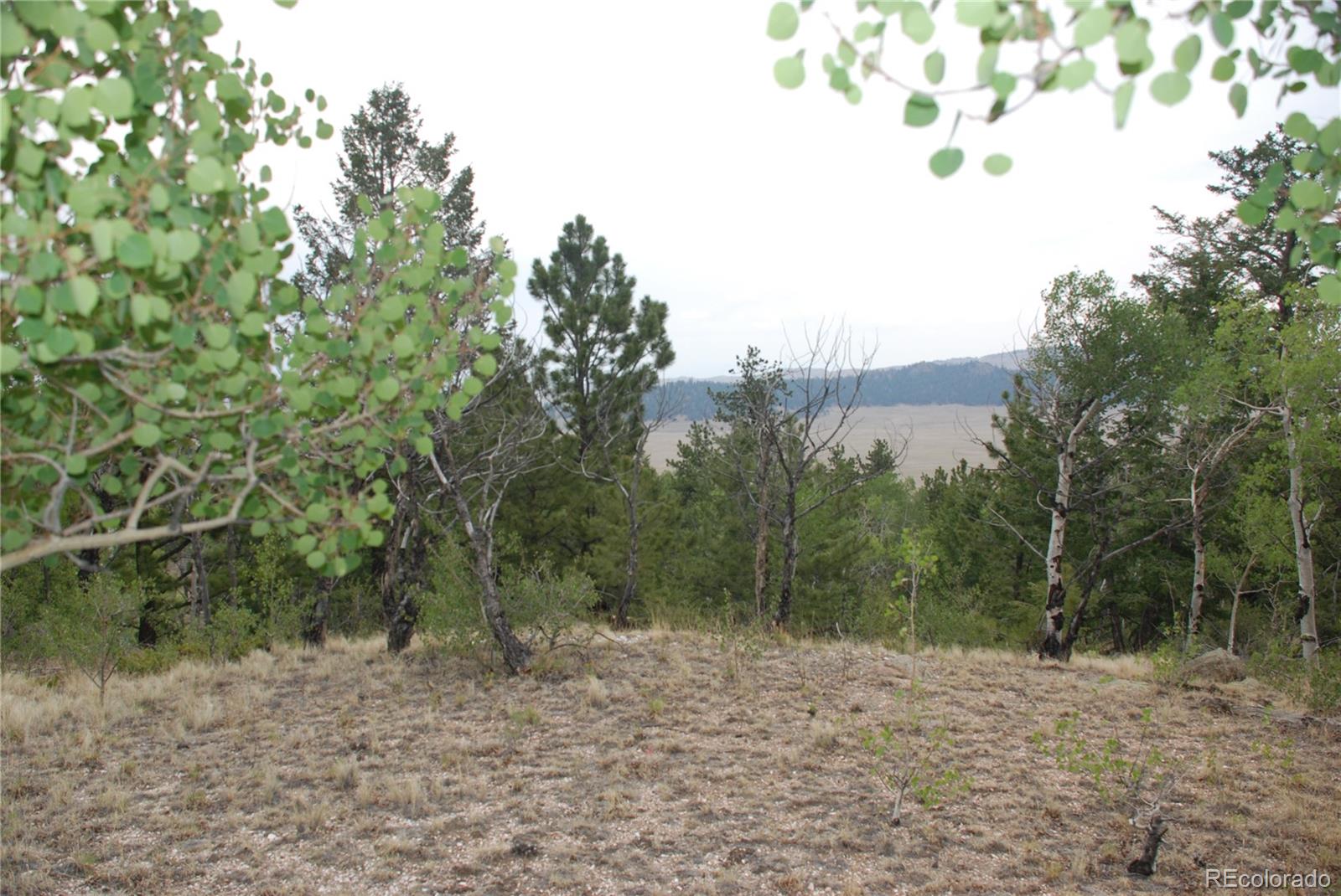 1946 Mohegan Road Hartsel, CO 80449 - Photo 23 of 35 Gallery Image 23