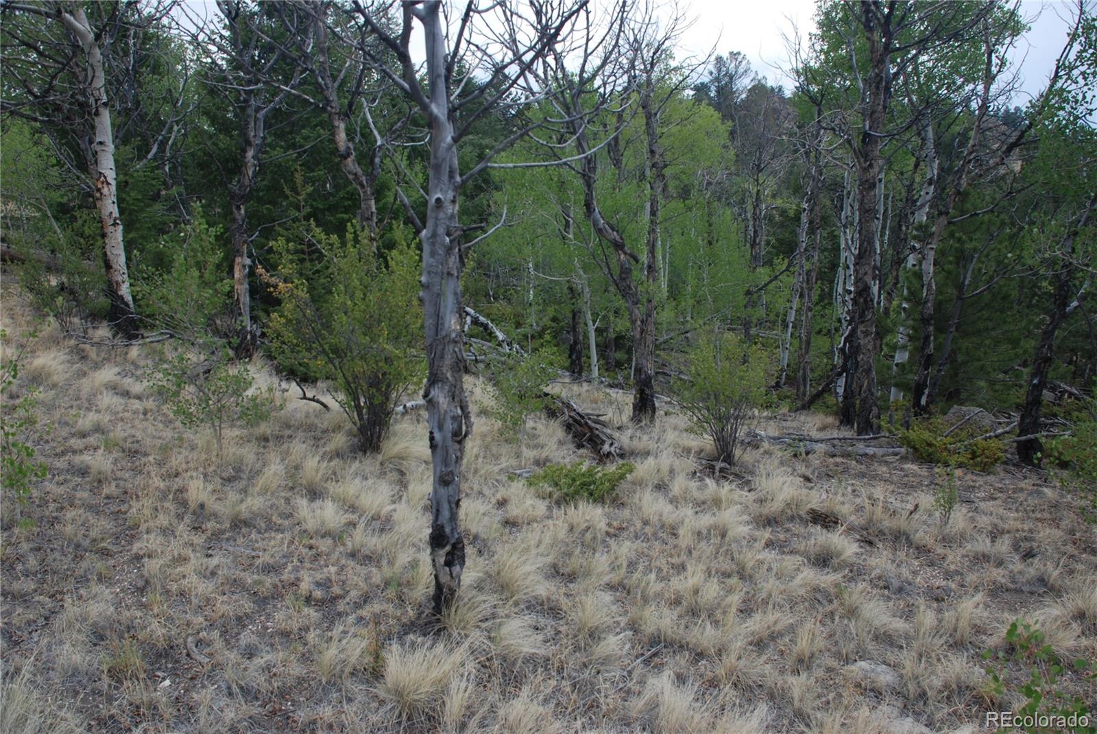 1946 Mohegan Road Hartsel, CO 80449 - Photo 24 of 35 Gallery Image 24