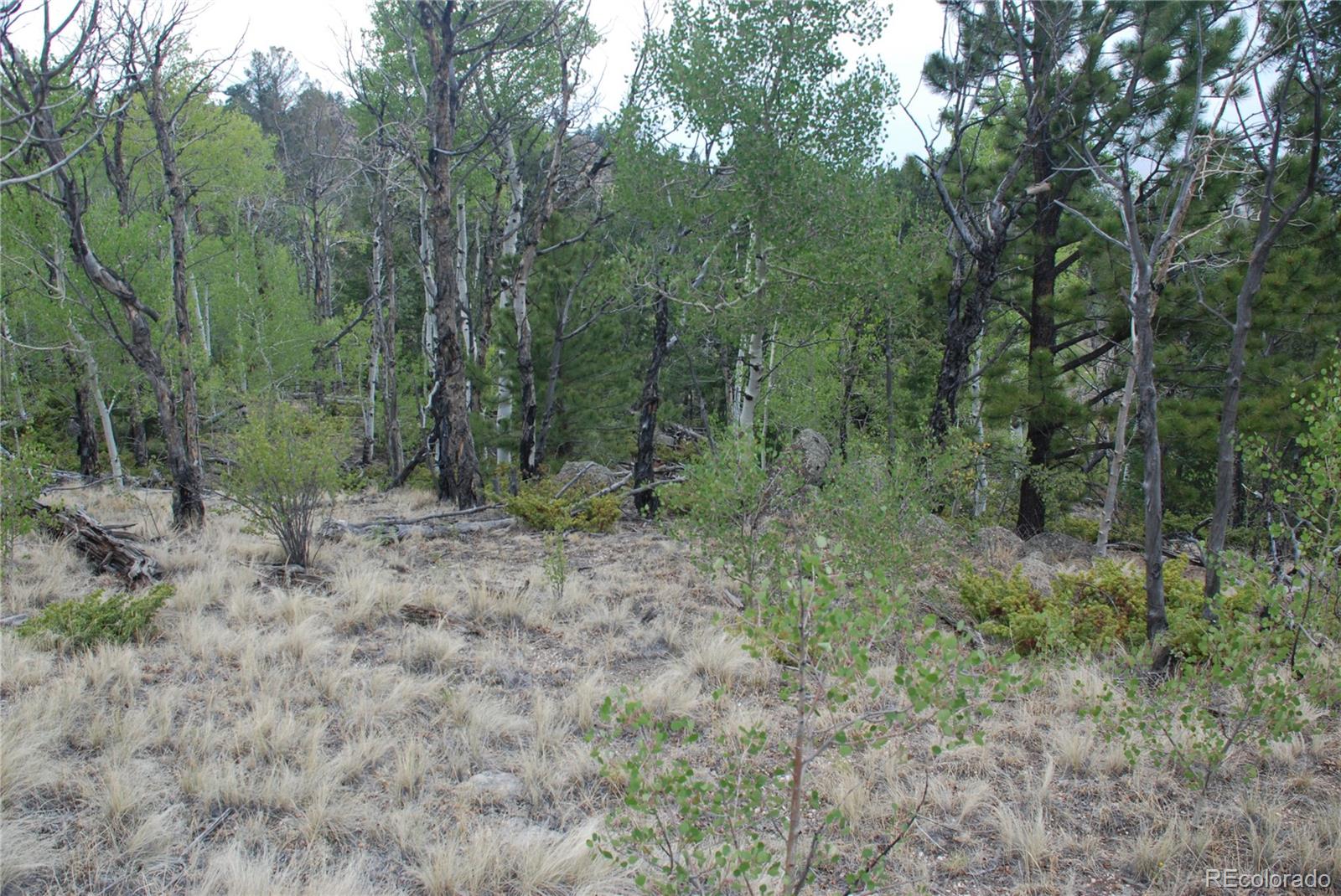 1946 Mohegan Road Hartsel, CO 80449 - Photo 25 of 35 Gallery Image 25
