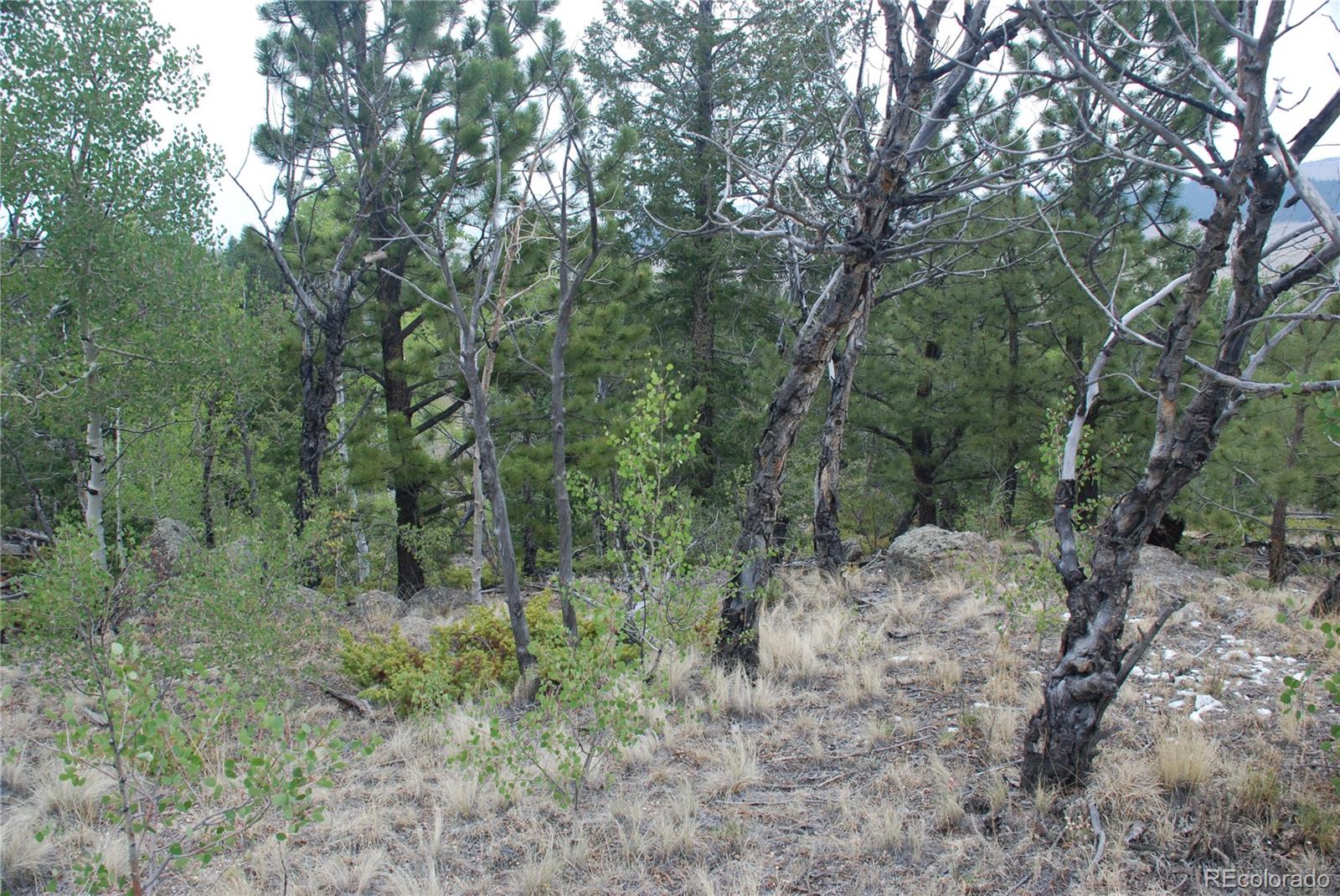 1946 Mohegan Road Hartsel, CO 80449 - Photo 26 of 35 Gallery Image 26