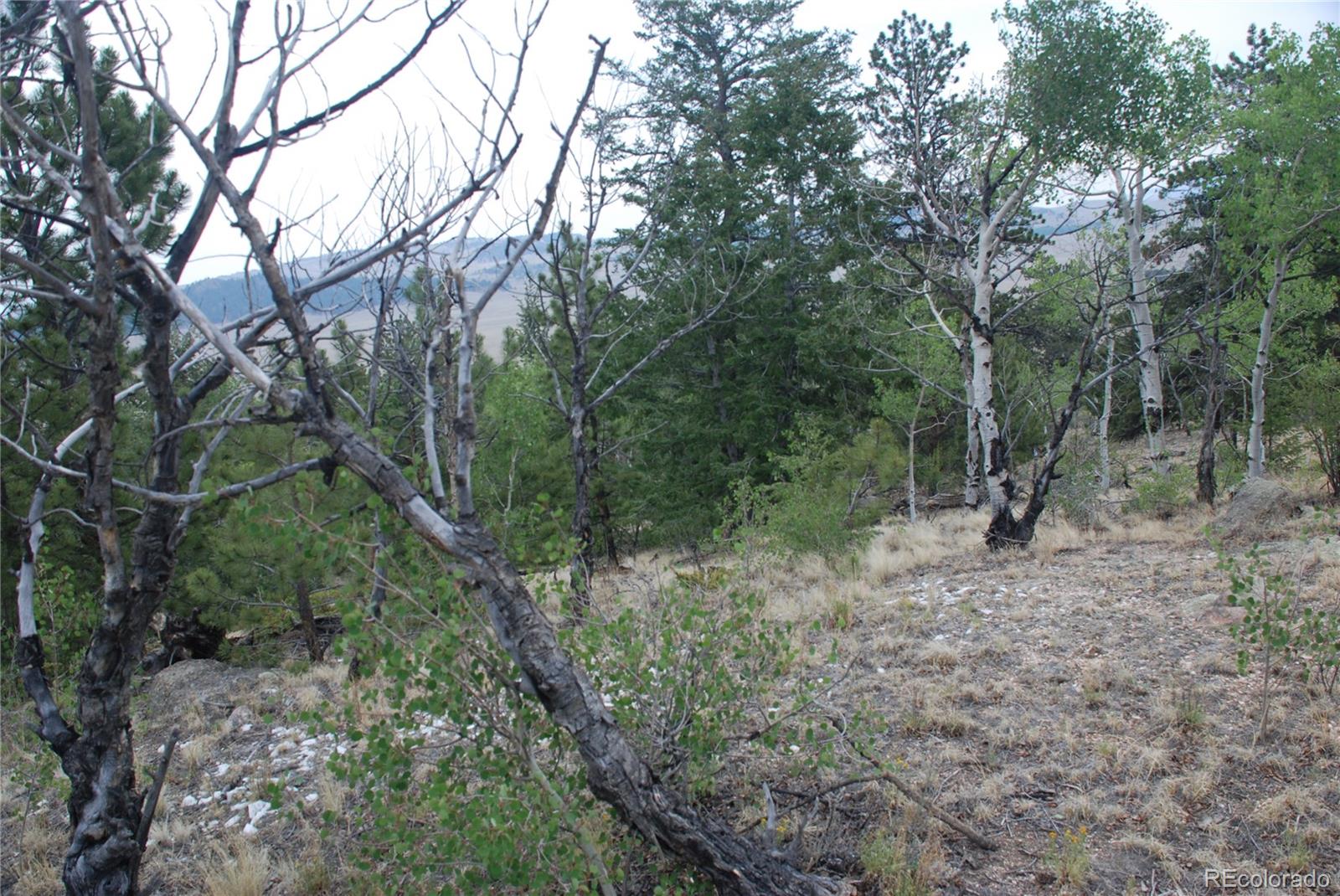 1946 Mohegan Road Hartsel, CO 80449 - Photo 27 of 35 Gallery Image 27