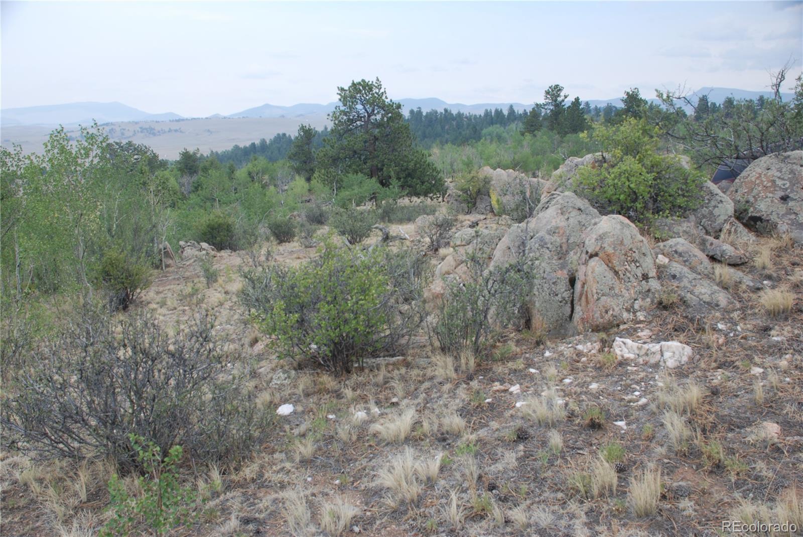 1946 Mohegan Road Hartsel, CO 80449 - Photo 31 of 35 Gallery Image 31