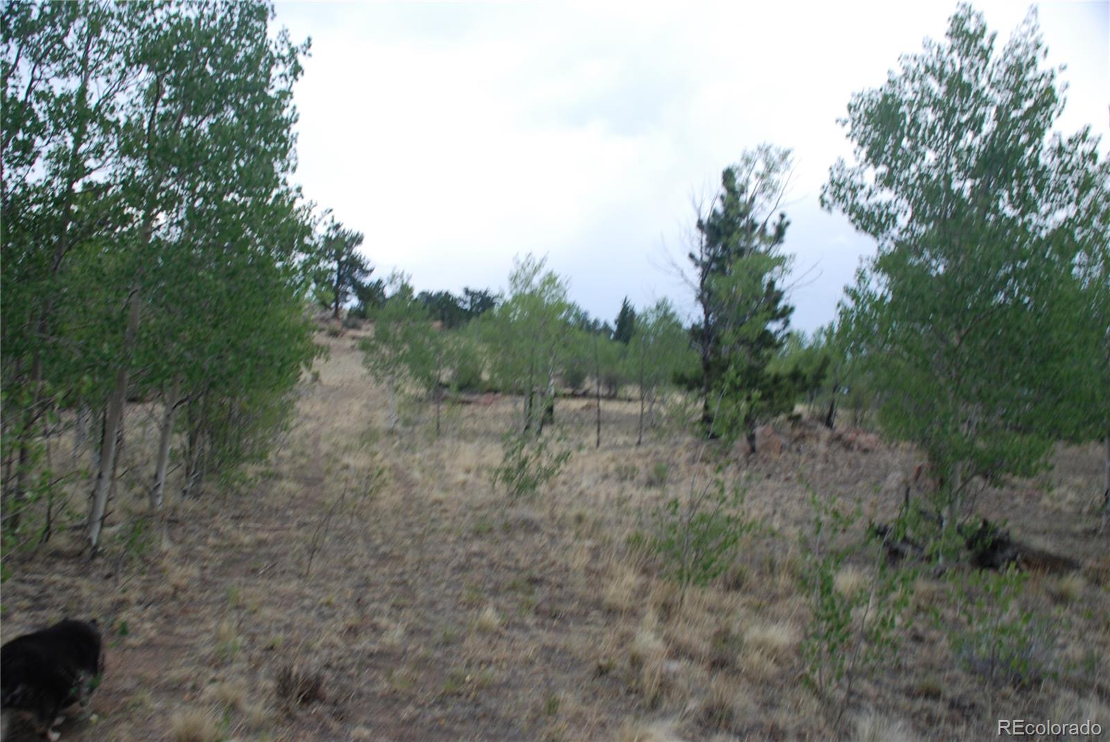 1946 Mohegan Road Hartsel, CO 80449 - Photo 9 of 35 Gallery Image 9