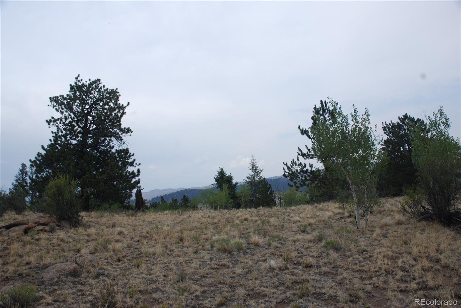 1946 Mohegan Road Hartsel, CO 80449 - Photo 10 of 35 Gallery Image 10