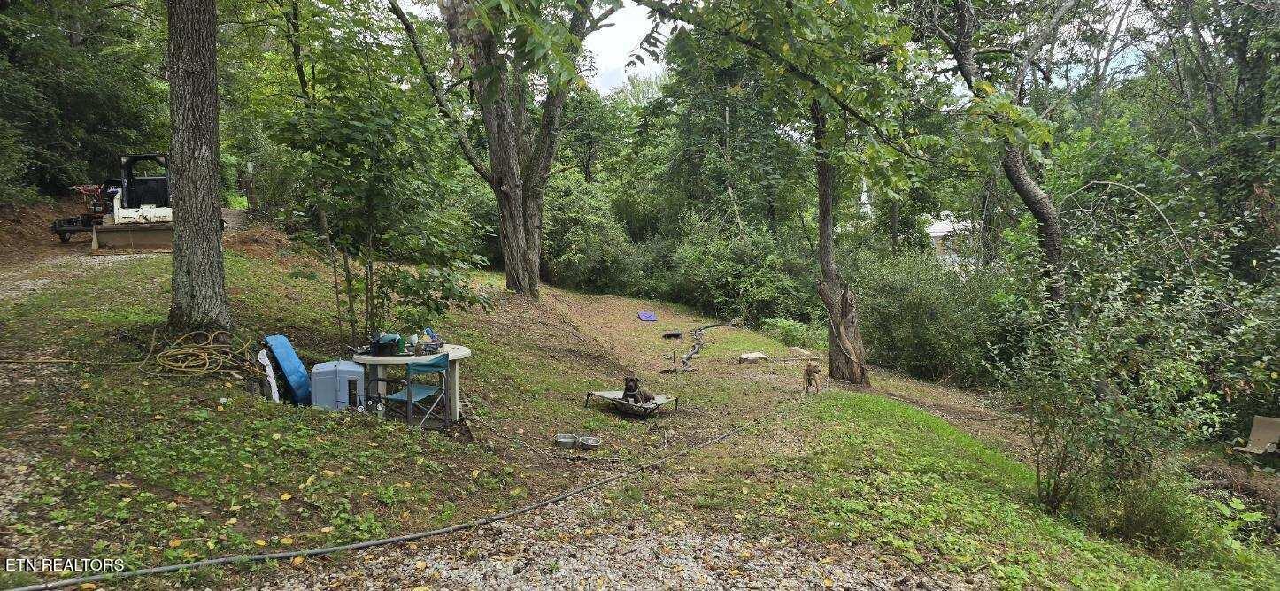 145 Shelton Lane Oneida, TN 37841 - Photo 16 of 18 image000002