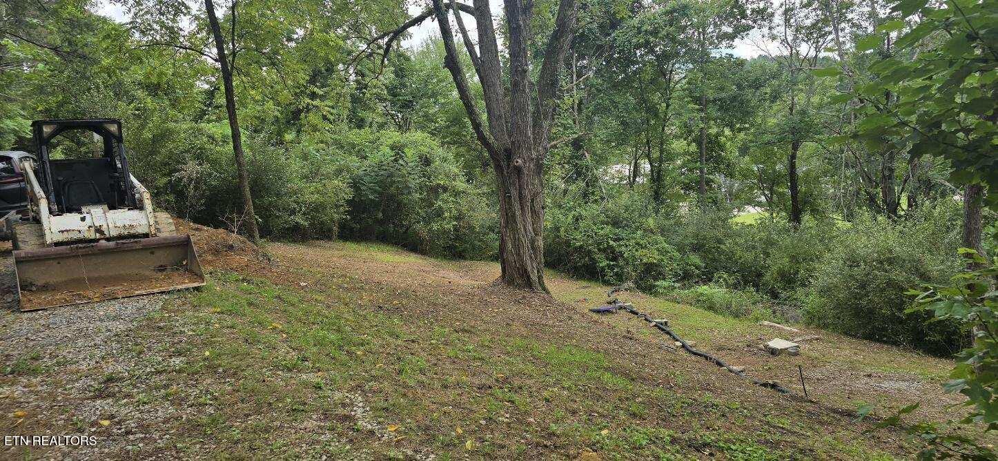 145 Shelton Lane Oneida, TN 37841 - Photo 17 of 18 image000001