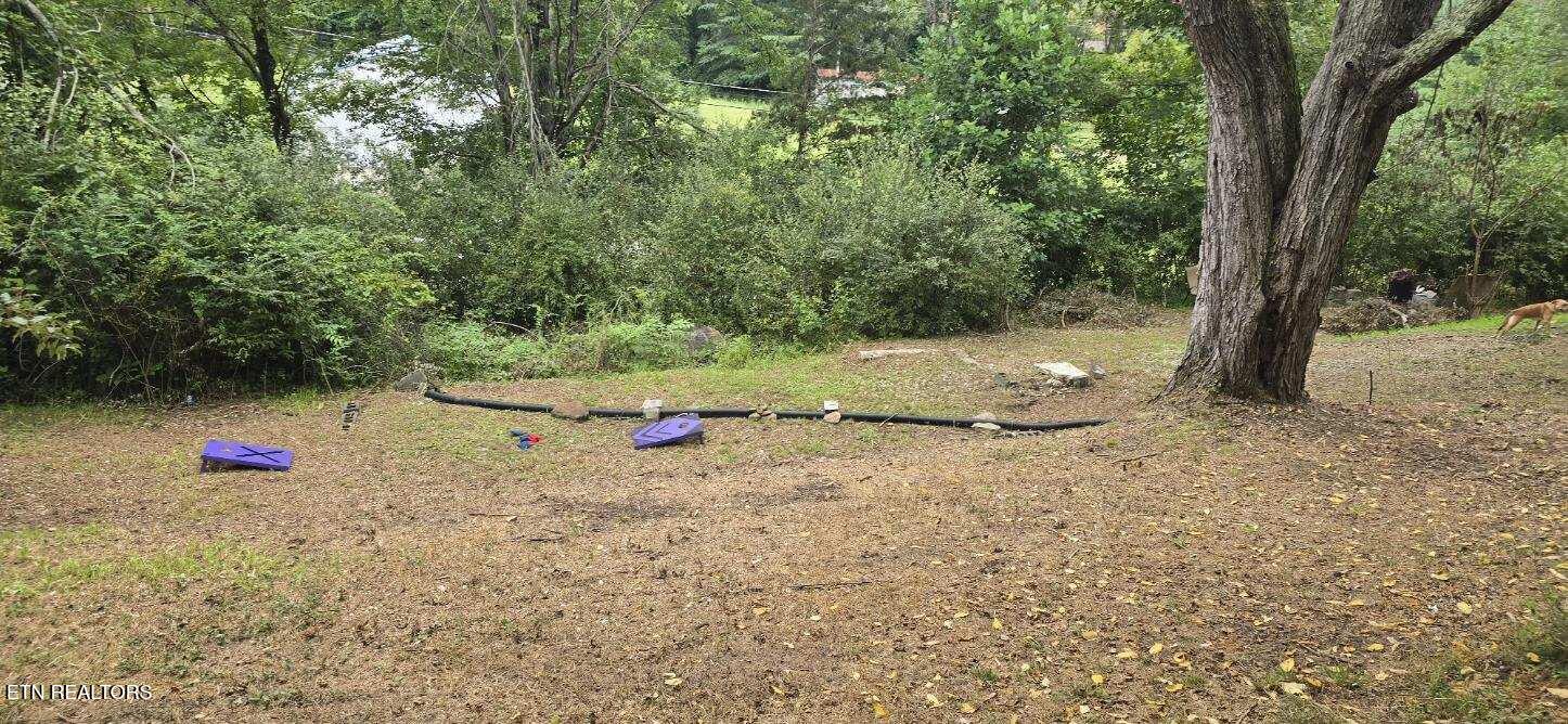 145 Shelton Lane Oneida, TN 37841 - Photo 18 of 18 image000000