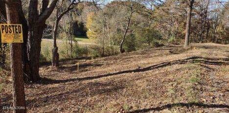 145 Shelton Lane Oneida, TN 37841 - Photo 2 of 18 image000006