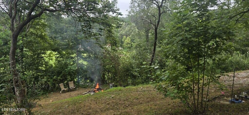 145 Shelton Lane Oneida, TN 37841 - Photo 7 of 18 image000002