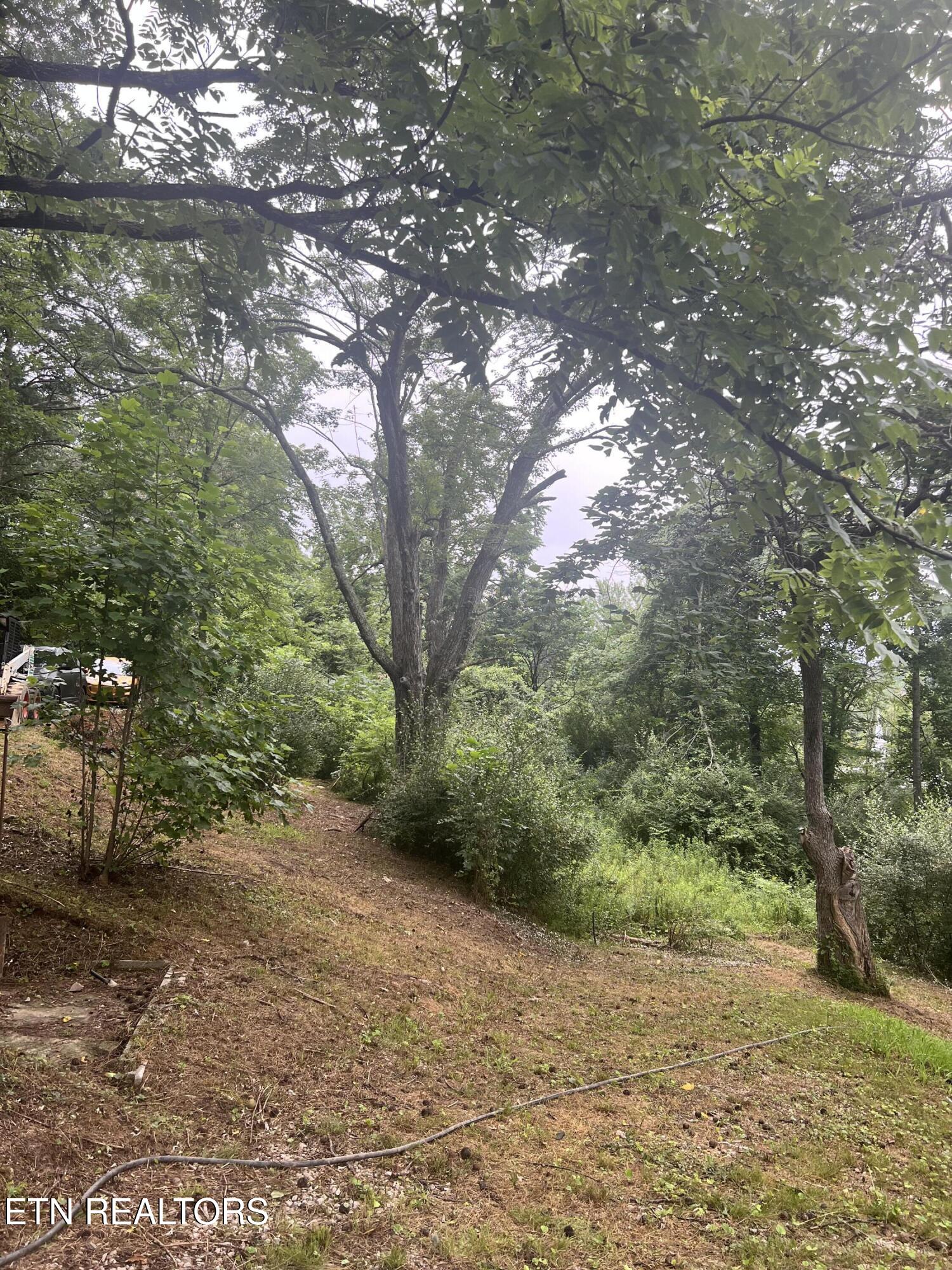 145 Shelton Lane Oneida, TN 37841 - Photo 10 of 18 IMG_9128