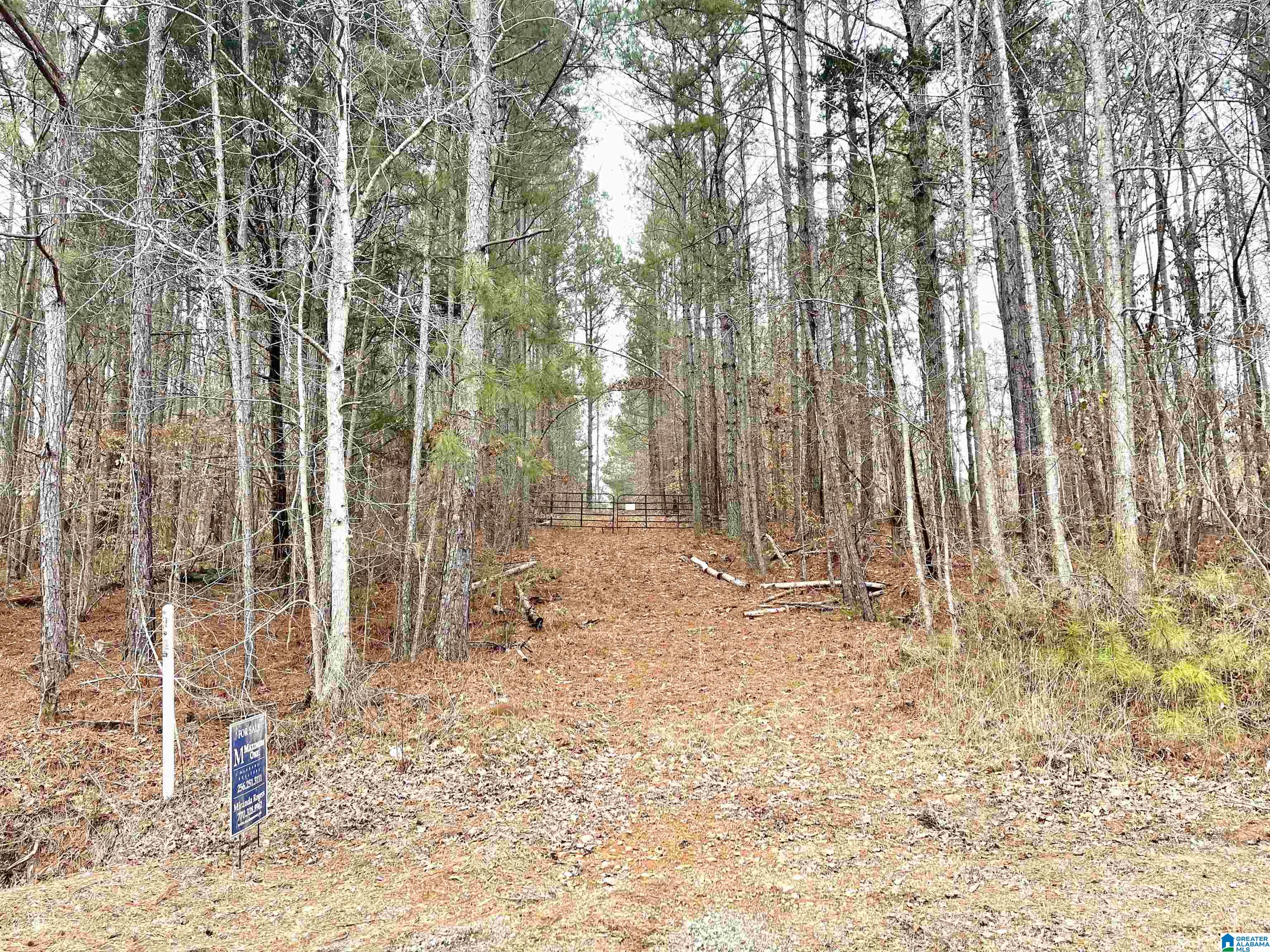 10 County Road Ranburne, AL 36273 - Photo 1 of 4
