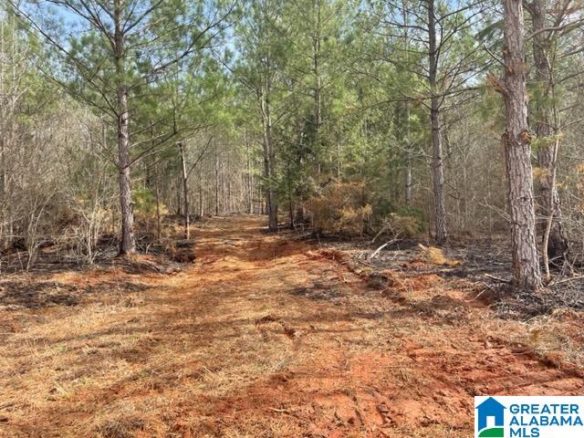 0 County Road 158, Unit 1 Lafayette, AL 36862 - Photo 15 of 19