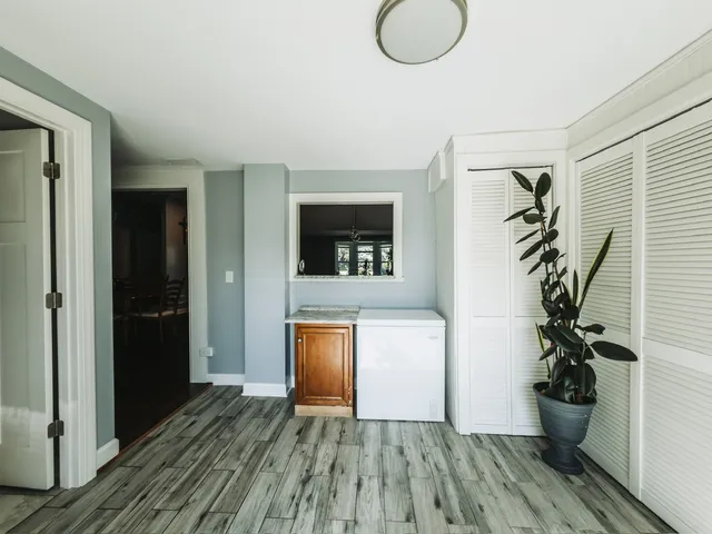 a view of a hallway with wooden floor and a potted plant