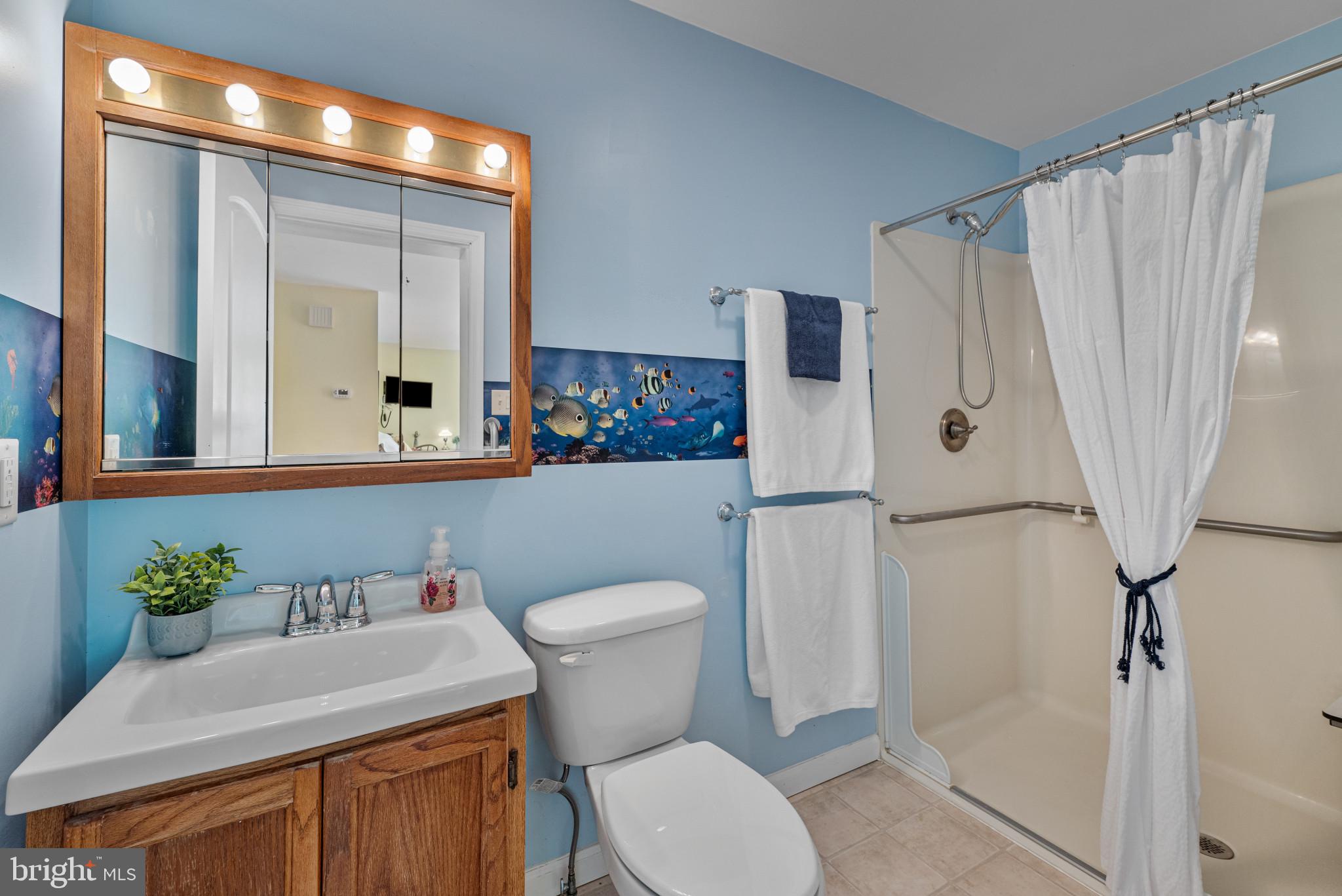 342 West Watersville Road Mount Airy, MD 21771 - Photo 28 of 39 efficiency/ primary bedroom bath