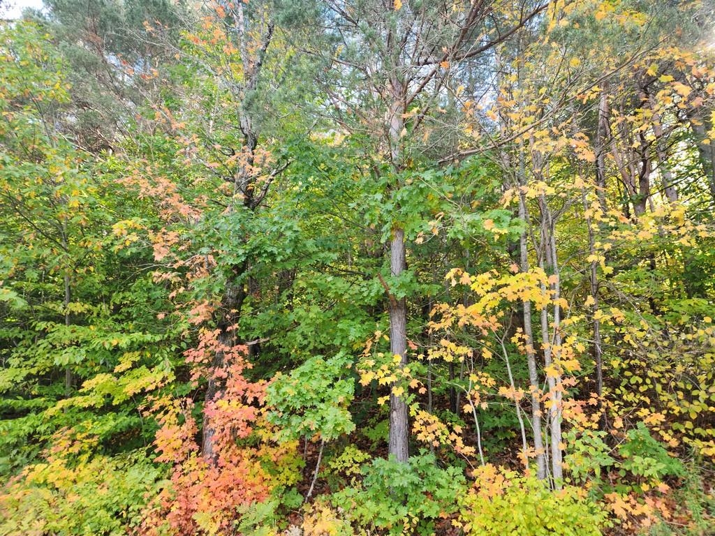 Waterfront Parmater Road Gaylord, MI 49735 - Photo 10 of 11