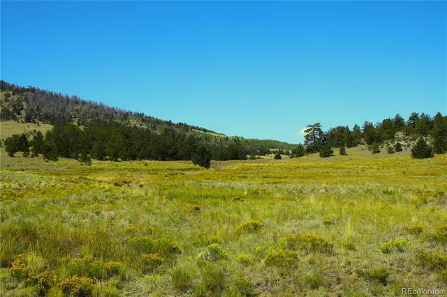 a view of a green field
