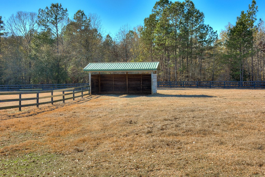 448 Long Cane Road Williston, SC 29853 - Photo 14 of 53