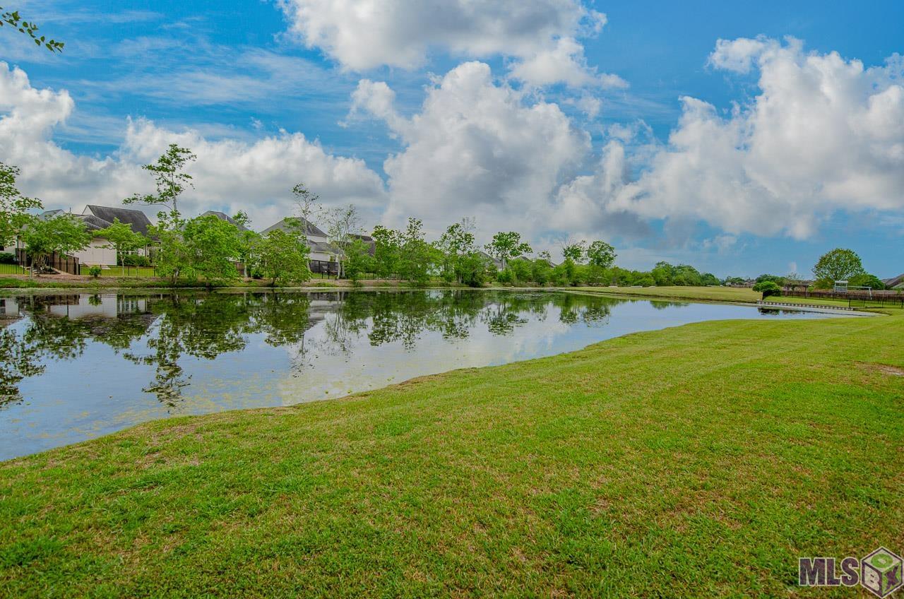 10910 Springtree Avenue Baton Rouge, LA 70810 - Photo 19 of 28 Gallery Image 19