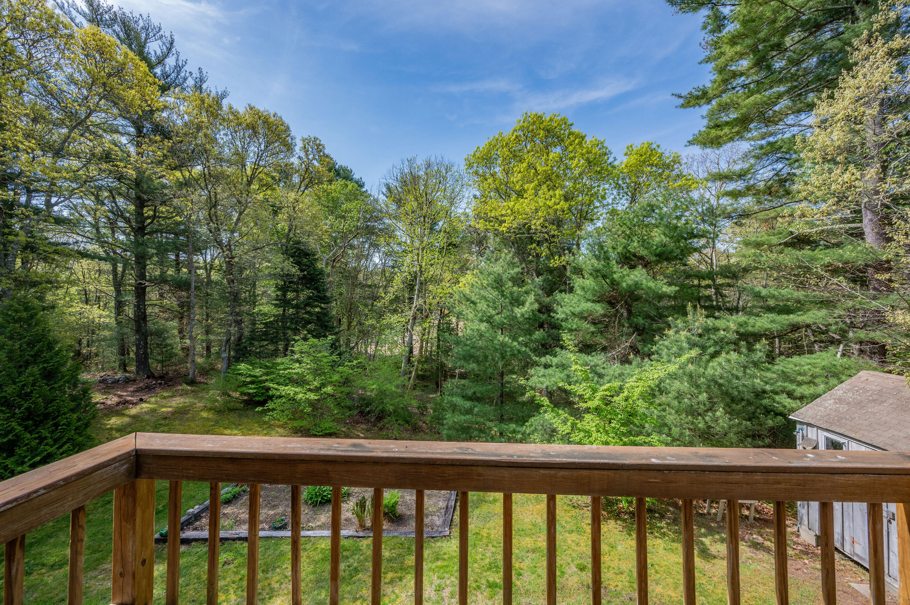 80 J B Drive Marstons Mills, MA 02648 - Photo 17 of 27 a view of a forest from a balcony