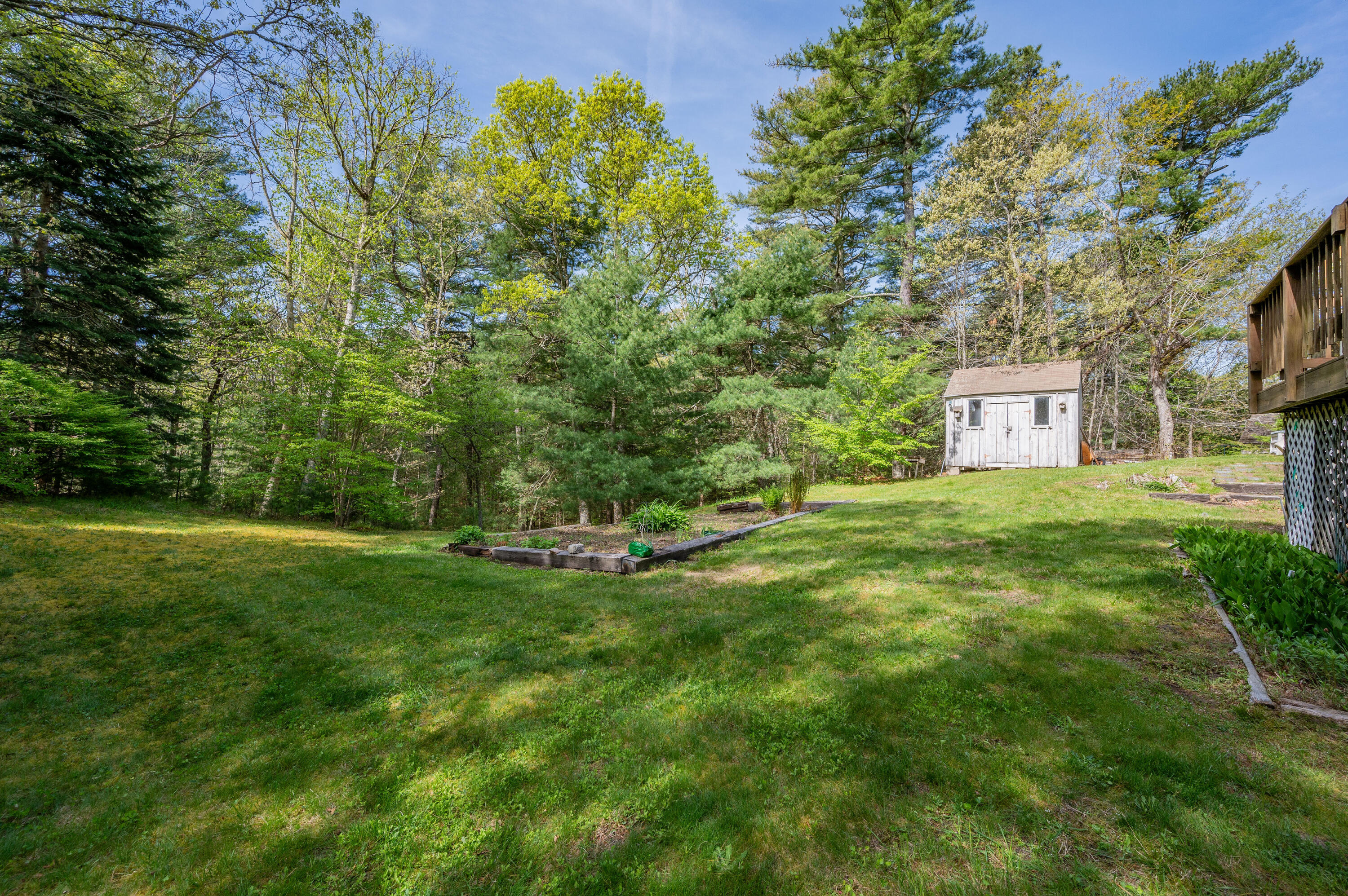 80 J B Drive Marstons Mills, MA 02648 - Photo 25 of 27 a view of a big yard with plants and large trees