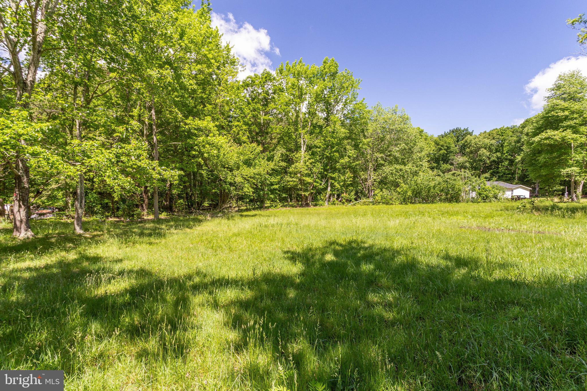 47702 Park Hall Road Park Hall, MD 20667 - Photo 1 of 1 a view of a yard with a house