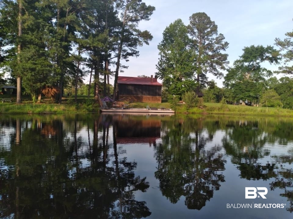 9 Pierce Lane Castleberry, AL 36432 - Photo 5 of 50