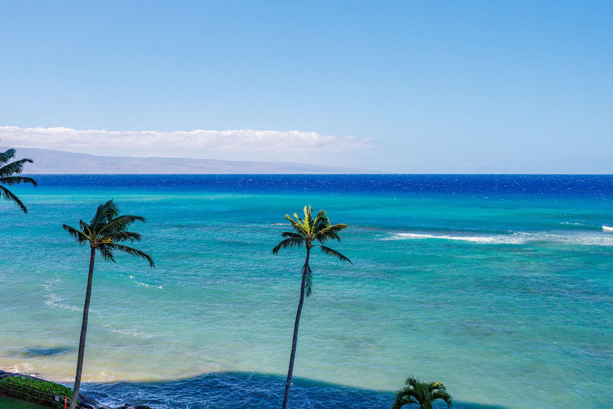 4401 Lower Honoapiilani Road, Unit B603 Lahaina, HI 96761 - Photo 7 of 41 a view of a room with wooden floor and a potted plant